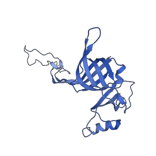3489_5mdv_C_v1-3
Structure of ArfA and RF2 bound to the 70S ribosome (accommodated state)