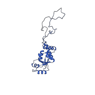 3489_5mdv_D_v1-3
Structure of ArfA and RF2 bound to the 70S ribosome (accommodated state)