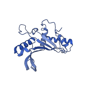 3489_5mdv_E_v1-3
Structure of ArfA and RF2 bound to the 70S ribosome (accommodated state)