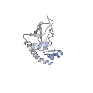 3489_5mdv_G_v1-3
Structure of ArfA and RF2 bound to the 70S ribosome (accommodated state)