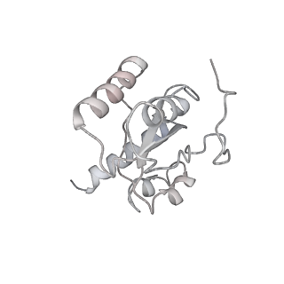 3489_5mdv_H_v1-3
Structure of ArfA and RF2 bound to the 70S ribosome (accommodated state)