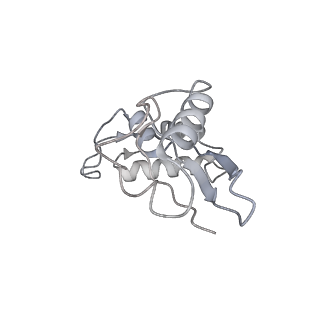 3489_5mdv_I_v1-3
Structure of ArfA and RF2 bound to the 70S ribosome (accommodated state)