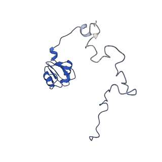 3489_5mdv_L_v1-3
Structure of ArfA and RF2 bound to the 70S ribosome (accommodated state)