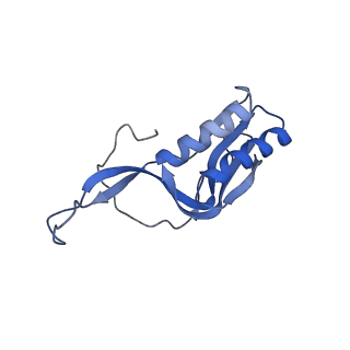 3489_5mdv_M_v2-1
Structure of ArfA and RF2 bound to the 70S ribosome (accommodated state)
