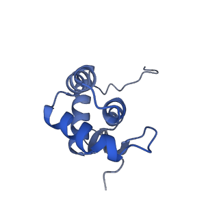 3489_5mdv_N_v1-3
Structure of ArfA and RF2 bound to the 70S ribosome (accommodated state)