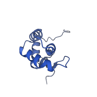 3489_5mdv_N_v2-1
Structure of ArfA and RF2 bound to the 70S ribosome (accommodated state)
