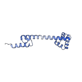 3489_5mdv_Q_v1-3
Structure of ArfA and RF2 bound to the 70S ribosome (accommodated state)
