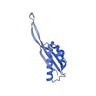 3489_5mdv_S_v1-3
Structure of ArfA and RF2 bound to the 70S ribosome (accommodated state)