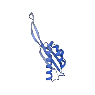 3489_5mdv_S_v2-1
Structure of ArfA and RF2 bound to the 70S ribosome (accommodated state)