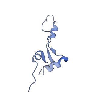 3489_5mdv_e_v1-3
Structure of ArfA and RF2 bound to the 70S ribosome (accommodated state)
