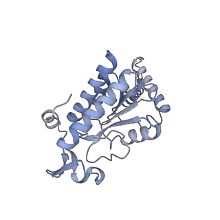 3489_5mdv_g_v1-3
Structure of ArfA and RF2 bound to the 70S ribosome (accommodated state)