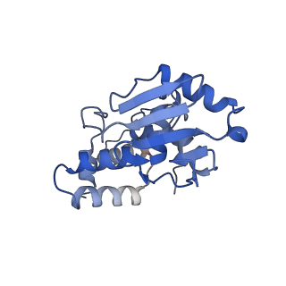 3489_5mdv_i_v1-3
Structure of ArfA and RF2 bound to the 70S ribosome (accommodated state)