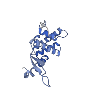 3489_5mdv_l_v1-3
Structure of ArfA and RF2 bound to the 70S ribosome (accommodated state)