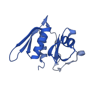 3489_5mdv_m_v1-3
Structure of ArfA and RF2 bound to the 70S ribosome (accommodated state)