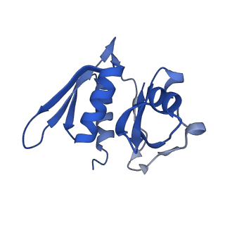 3489_5mdv_m_v2-1
Structure of ArfA and RF2 bound to the 70S ribosome (accommodated state)