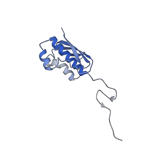 3489_5mdv_n_v1-3
Structure of ArfA and RF2 bound to the 70S ribosome (accommodated state)