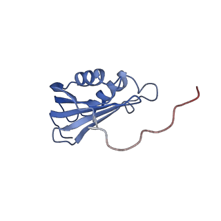 3489_5mdv_p_v1-3
Structure of ArfA and RF2 bound to the 70S ribosome (accommodated state)
