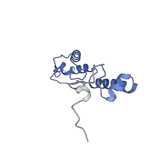 3489_5mdv_r_v1-3
Structure of ArfA and RF2 bound to the 70S ribosome (accommodated state)