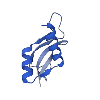 3489_5mdv_u_v2-1
Structure of ArfA and RF2 bound to the 70S ribosome (accommodated state)