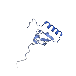 3489_5mdv_x_v1-3
Structure of ArfA and RF2 bound to the 70S ribosome (accommodated state)