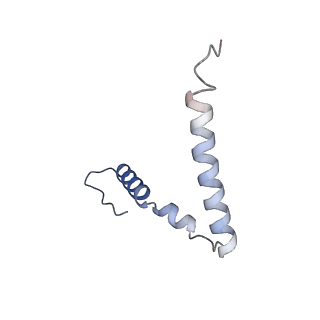 3489_5mdv_z_v1-3
Structure of ArfA and RF2 bound to the 70S ribosome (accommodated state)