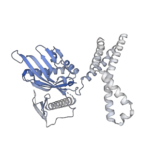 3490_5mdw_7_v1-3
Structure of ArfA(A18T) and RF2 bound to the 70S ribosome (pre-accommodated state)