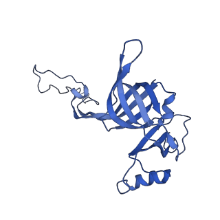 3490_5mdw_C_v1-3
Structure of ArfA(A18T) and RF2 bound to the 70S ribosome (pre-accommodated state)