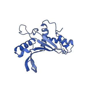 3490_5mdw_E_v1-3
Structure of ArfA(A18T) and RF2 bound to the 70S ribosome (pre-accommodated state)