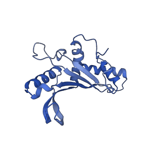 3490_5mdw_E_v2-1
Structure of ArfA(A18T) and RF2 bound to the 70S ribosome (pre-accommodated state)