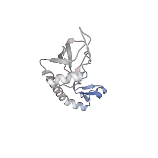 3490_5mdw_G_v1-3
Structure of ArfA(A18T) and RF2 bound to the 70S ribosome (pre-accommodated state)