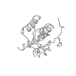 3490_5mdw_H_v1-3
Structure of ArfA(A18T) and RF2 bound to the 70S ribosome (pre-accommodated state)