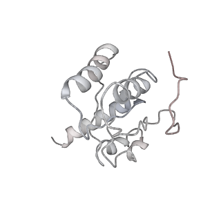 3490_5mdw_H_v2-1
Structure of ArfA(A18T) and RF2 bound to the 70S ribosome (pre-accommodated state)