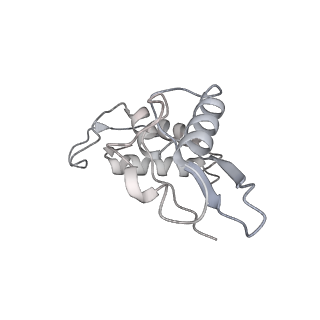 3490_5mdw_I_v1-3
Structure of ArfA(A18T) and RF2 bound to the 70S ribosome (pre-accommodated state)