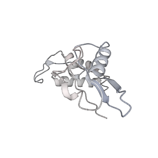 3490_5mdw_I_v2-1
Structure of ArfA(A18T) and RF2 bound to the 70S ribosome (pre-accommodated state)