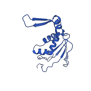 3490_5mdw_J_v2-1
Structure of ArfA(A18T) and RF2 bound to the 70S ribosome (pre-accommodated state)