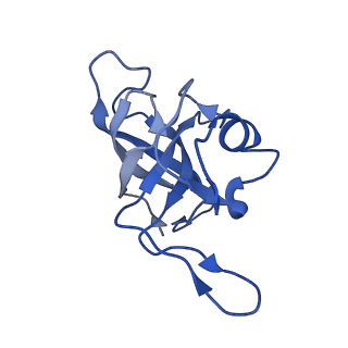 3490_5mdw_K_v1-3
Structure of ArfA(A18T) and RF2 bound to the 70S ribosome (pre-accommodated state)