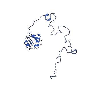 3490_5mdw_L_v1-3
Structure of ArfA(A18T) and RF2 bound to the 70S ribosome (pre-accommodated state)