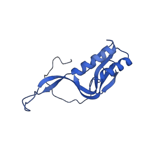 3490_5mdw_M_v1-3
Structure of ArfA(A18T) and RF2 bound to the 70S ribosome (pre-accommodated state)