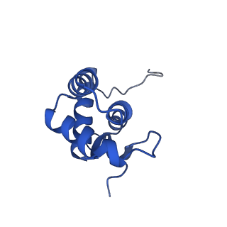 3490_5mdw_N_v1-3
Structure of ArfA(A18T) and RF2 bound to the 70S ribosome (pre-accommodated state)