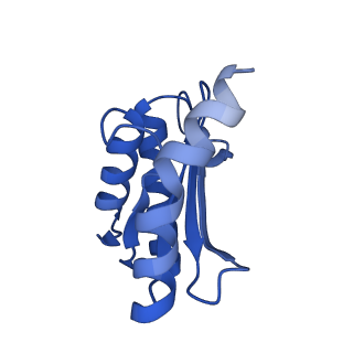 3490_5mdw_O_v1-3
Structure of ArfA(A18T) and RF2 bound to the 70S ribosome (pre-accommodated state)