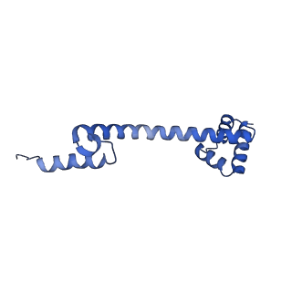 3490_5mdw_Q_v1-3
Structure of ArfA(A18T) and RF2 bound to the 70S ribosome (pre-accommodated state)