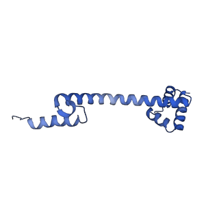 3490_5mdw_Q_v2-1
Structure of ArfA(A18T) and RF2 bound to the 70S ribosome (pre-accommodated state)