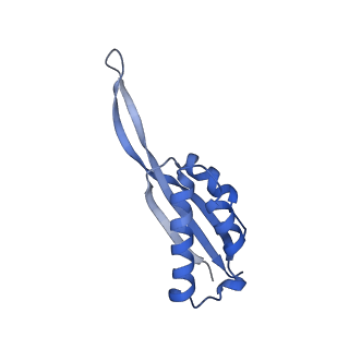 3490_5mdw_S_v1-3
Structure of ArfA(A18T) and RF2 bound to the 70S ribosome (pre-accommodated state)