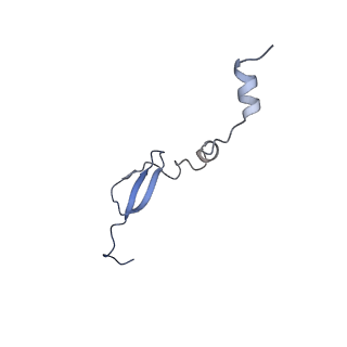 3490_5mdw_a_v1-3
Structure of ArfA(A18T) and RF2 bound to the 70S ribosome (pre-accommodated state)