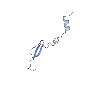 3490_5mdw_a_v2-1
Structure of ArfA(A18T) and RF2 bound to the 70S ribosome (pre-accommodated state)