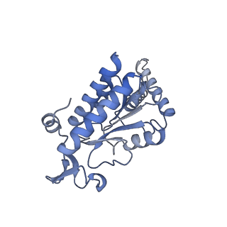 3490_5mdw_g_v1-3
Structure of ArfA(A18T) and RF2 bound to the 70S ribosome (pre-accommodated state)