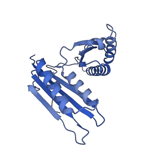 3490_5mdw_h_v1-3
Structure of ArfA(A18T) and RF2 bound to the 70S ribosome (pre-accommodated state)