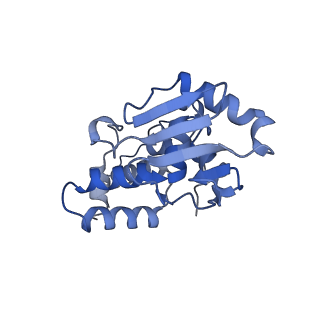 3490_5mdw_i_v1-3
Structure of ArfA(A18T) and RF2 bound to the 70S ribosome (pre-accommodated state)