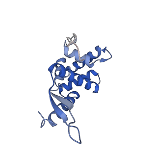 3490_5mdw_l_v1-3
Structure of ArfA(A18T) and RF2 bound to the 70S ribosome (pre-accommodated state)
