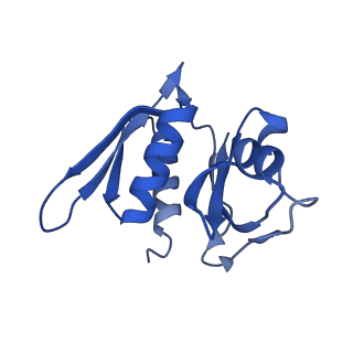 3490_5mdw_m_v1-3
Structure of ArfA(A18T) and RF2 bound to the 70S ribosome (pre-accommodated state)